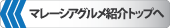 マレーシアグルメ紹介へ戻る